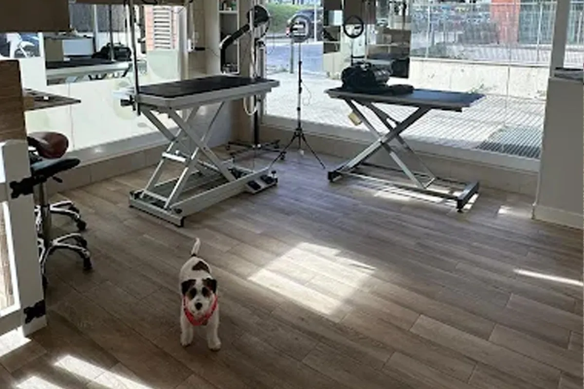 Sala de perruqueria canina lluminosa i equipada a Oasi Caní, Sant Quirze